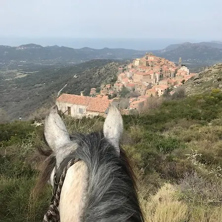 ヴィラ Grande Maison A Balagne *
