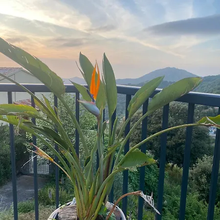 Grande Maison A Balagne 빌라 Belgodère