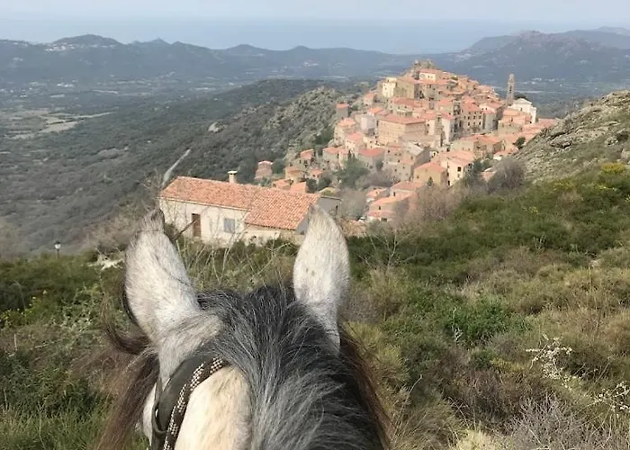 Villa Grande Maison A Balagne *