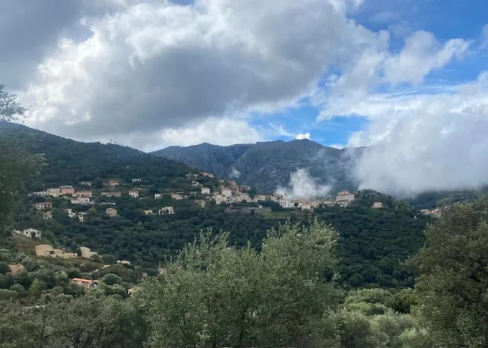 Grande Maison A Balagne *