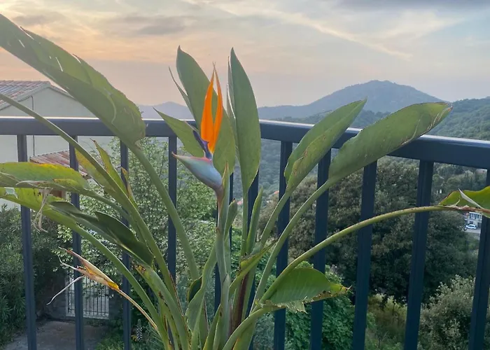 Grande Maison A Balagne Villa Belgodère